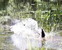20170716-wcxw-1195