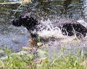 20170716-wcxw-1206
