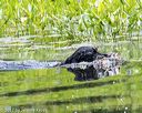 20170716-wcxw-1218