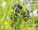 20170716-wcxw-1219