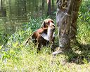 20170716-wcxw-1240