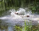 20170716-wcxw-1270
