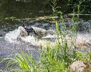20170716-wcxw-1378