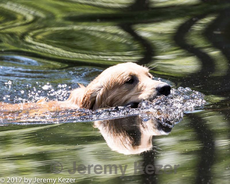 20170716-wcxw-1057.jpg