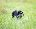 20170805-mh1-0475