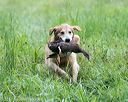 20170805-mh1-0510