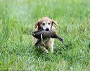 20170805-mh1-0515