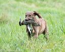 20170805-mh1-0788