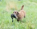 20170805-mh1-1011