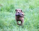 20170805-mh1-1037