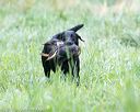 20170805-mh1-1109