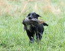 20170805-mh1-1138
