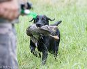 20170805-mh1-1143