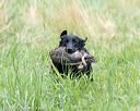 20170805-mh1-1259