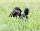 20170805-mh1-1290
