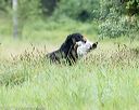 20170805-mh1-1401