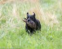 20170805-mh1-1822