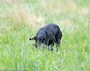 20170805-mh1-2030