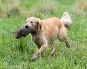20170805-mh1-2434