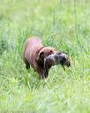 20170805-mh1-2858