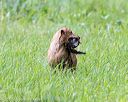 20170805-mh2-0047