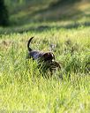 20170805-mh2-0207