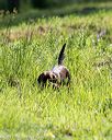 20170805-mh2-0208