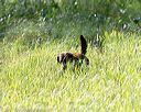 20170805-mh2-0216