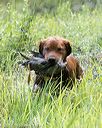 20170805-mh2-0314