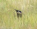 20170806-jhl-0004