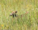 20170806-jhl-0023
