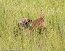 20170806-jhl-0026