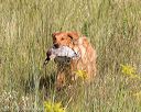 20170806-jhl-0059