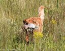 20170806-jhl-0061