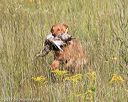20170806-jhl-0093