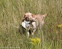20170806-jhl-0132