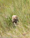 20170806-jhl-0144