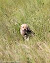 20170806-jhl-0149