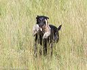 20170806-jhl-0224