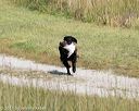 20170806-jhl-0264