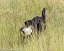 20170806-jhl-0279