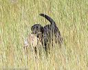 20170806-jhl-0355