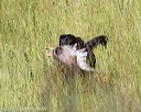 20170806-jhl-0390