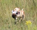 20170806-jhl-0411