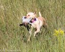 20170806-jhl-0412