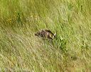 20170806-jhl-0432