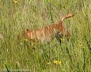 20170806-jhl-0456