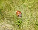 20170806-jhl-0466