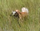 20170806-jhl-0488
