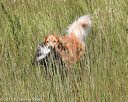 20170806-jhl-0492